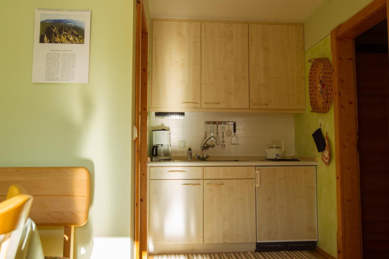 Apartament Naturlaub.Pur Waldmünchen Zewnętrze zdjęcie